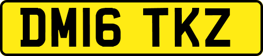 DM16TKZ