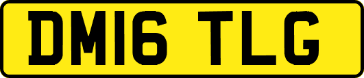 DM16TLG