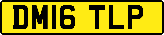DM16TLP
