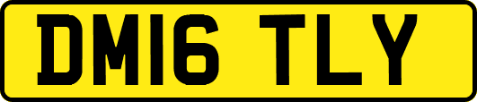 DM16TLY