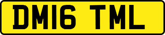 DM16TML
