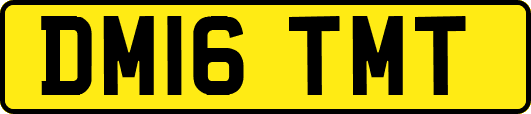 DM16TMT