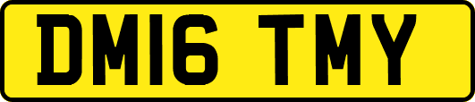 DM16TMY