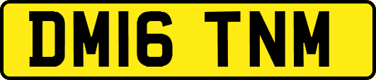 DM16TNM