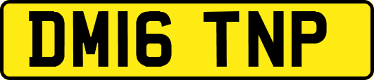 DM16TNP