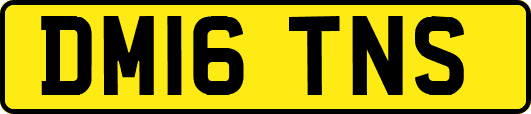 DM16TNS