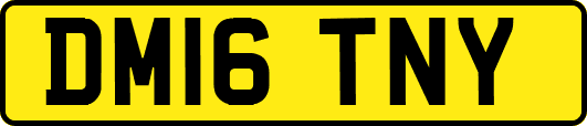 DM16TNY