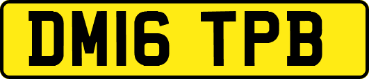 DM16TPB