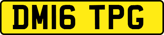 DM16TPG