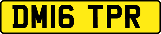 DM16TPR