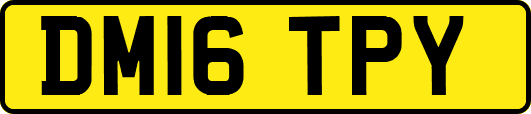 DM16TPY