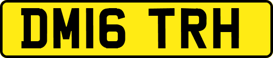 DM16TRH