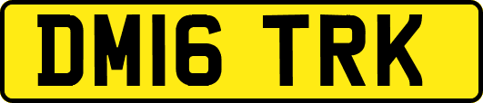 DM16TRK