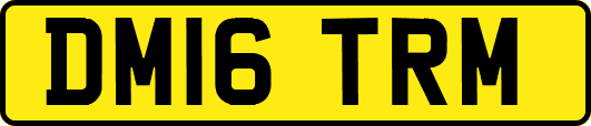 DM16TRM