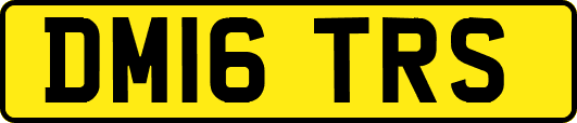 DM16TRS