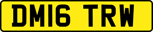 DM16TRW