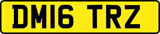 DM16TRZ