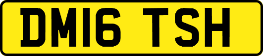 DM16TSH