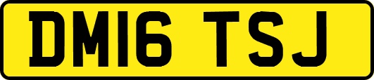 DM16TSJ