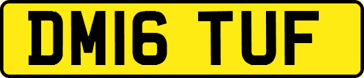 DM16TUF