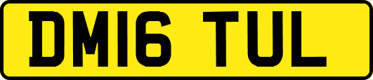 DM16TUL