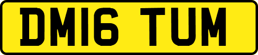 DM16TUM