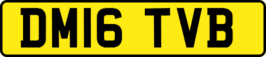 DM16TVB