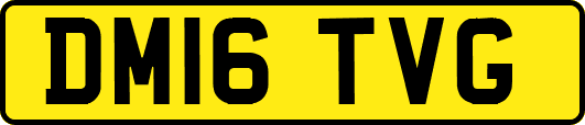 DM16TVG