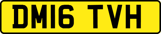DM16TVH