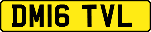 DM16TVL