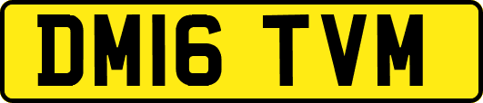 DM16TVM