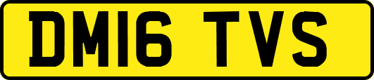 DM16TVS