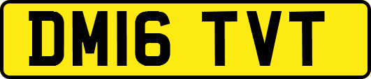 DM16TVT