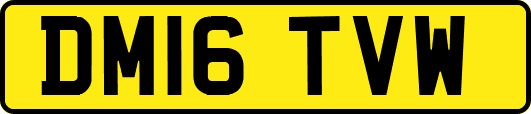 DM16TVW
