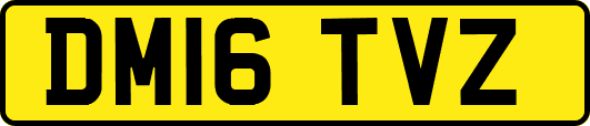 DM16TVZ