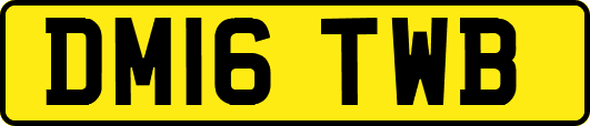 DM16TWB