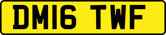 DM16TWF