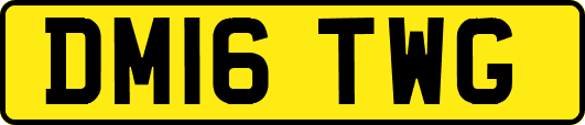 DM16TWG