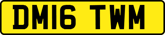 DM16TWM