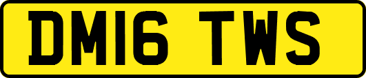 DM16TWS