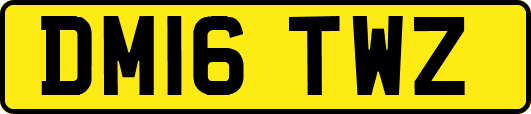 DM16TWZ