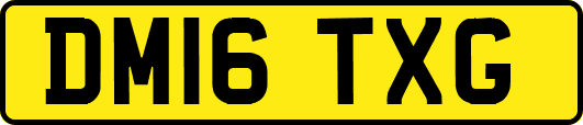 DM16TXG