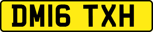 DM16TXH
