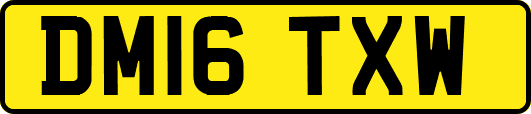 DM16TXW
