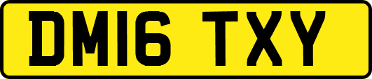 DM16TXY