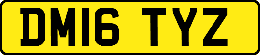 DM16TYZ