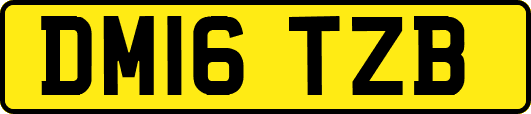 DM16TZB