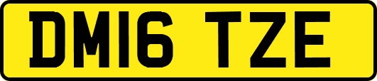DM16TZE