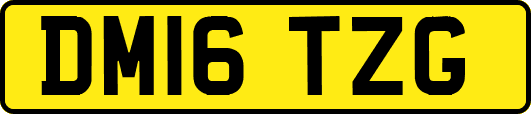 DM16TZG