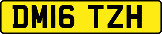 DM16TZH